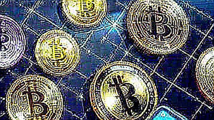 Crypto's No Life, No Retreat: The Founder Narrative That Fools Investors Crypto's No Life, No Retreat: The Founder Narrative That Fools Investors