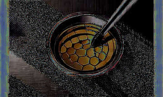 The Asian Bridge: Regulatory Clarity Meets Market Collapse