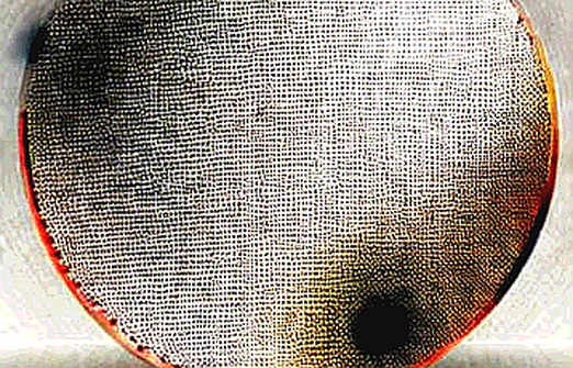 AI Predicts Pi Network Will Hit Zero Before Cardano – But the Hash Tells a Different Story AI Predicts Pi Network Will Hit Zero Before Cardano – But the Hash Tells a Different Story
