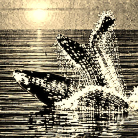 Whale Activity Spikes on Lighter and Mantle: Smart Money Signal or Noise Trap? Whale Activity Spikes on Lighter and Mantle: Smart Money Signal or Noise Trap?